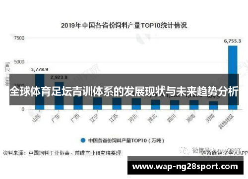 全球体育足坛青训体系的发展现状与未来趋势分析