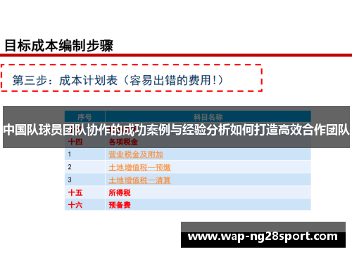 中国队球员团队协作的成功案例与经验分析如何打造高效合作团队