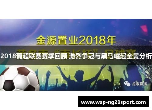 2018葡超联赛赛季回顾 激烈争冠与黑马崛起全景分析
