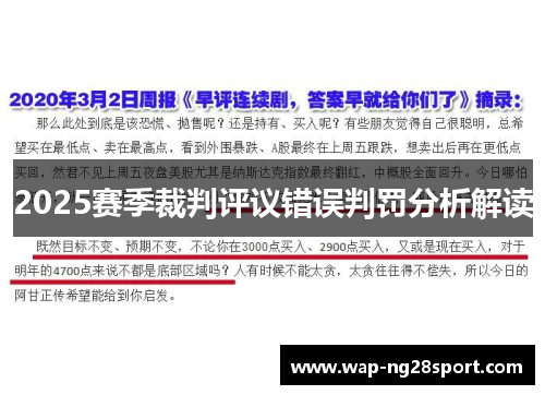 2025赛季裁判评议错误判罚分析解读