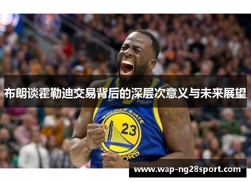 布朗谈霍勒迪交易背后的深层次意义与未来展望