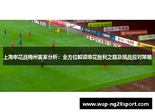 上海申花战梅州客家分析：全方位解读申花胜利之路及挑战应对策略