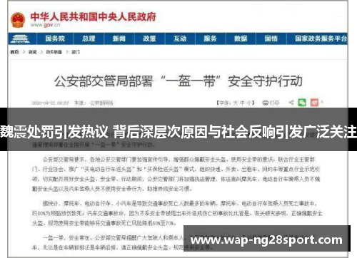 魏震处罚引发热议 背后深层次原因与社会反响引发广泛关注
