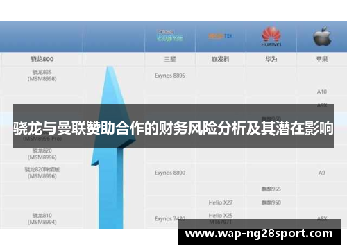 骁龙与曼联赞助合作的财务风险分析及其潜在影响