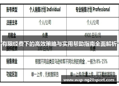 有限经费下的高效策略与实用帮助指南全面解析